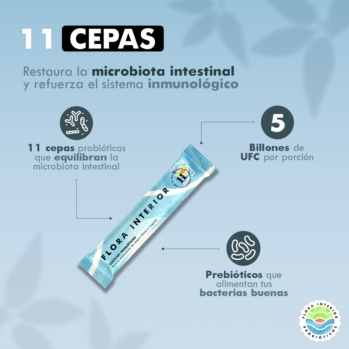 PROBIÓTICO 11 CEPAS (30 SOBRES) - Gallery 4