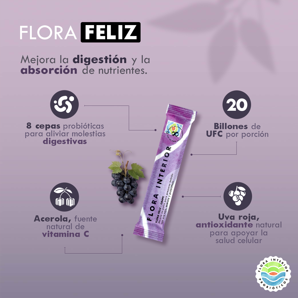 PROBIÓTICO FLORA FELIZ GRAPE - Gallery 5