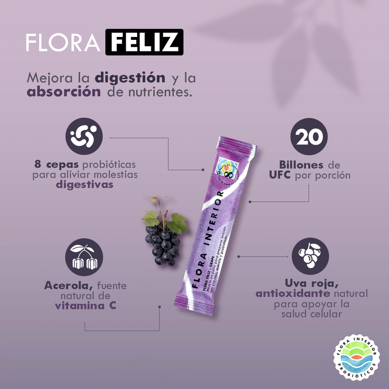 PROBIÓTICO FLORA FELIZ GRAPE - Image 5