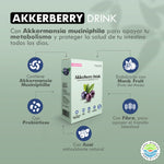 AKKERBERRY DRINK - Thumbnail 5