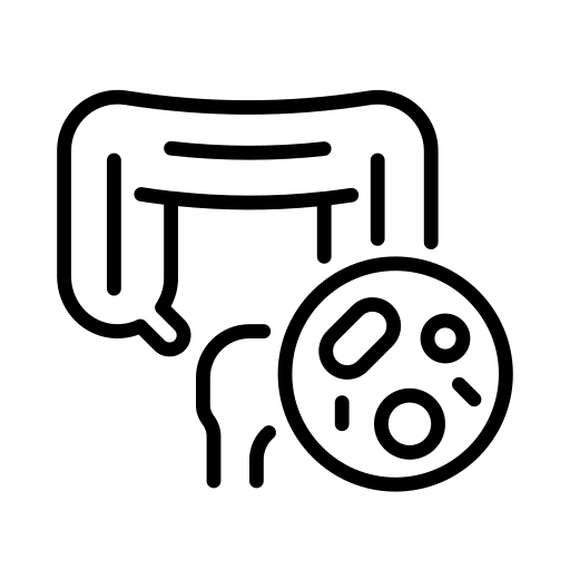 REFUERZA LA FLORA INTESTINAL