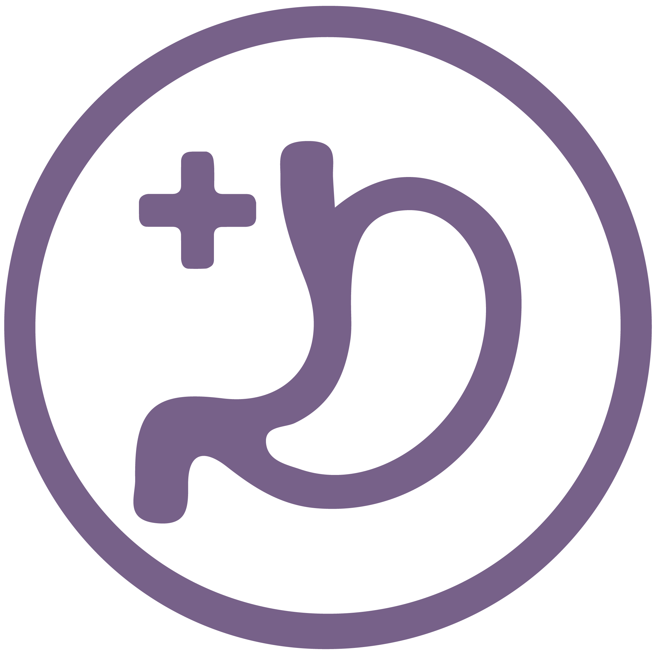 Mejora el proceso digestivo y tránsito intestinal