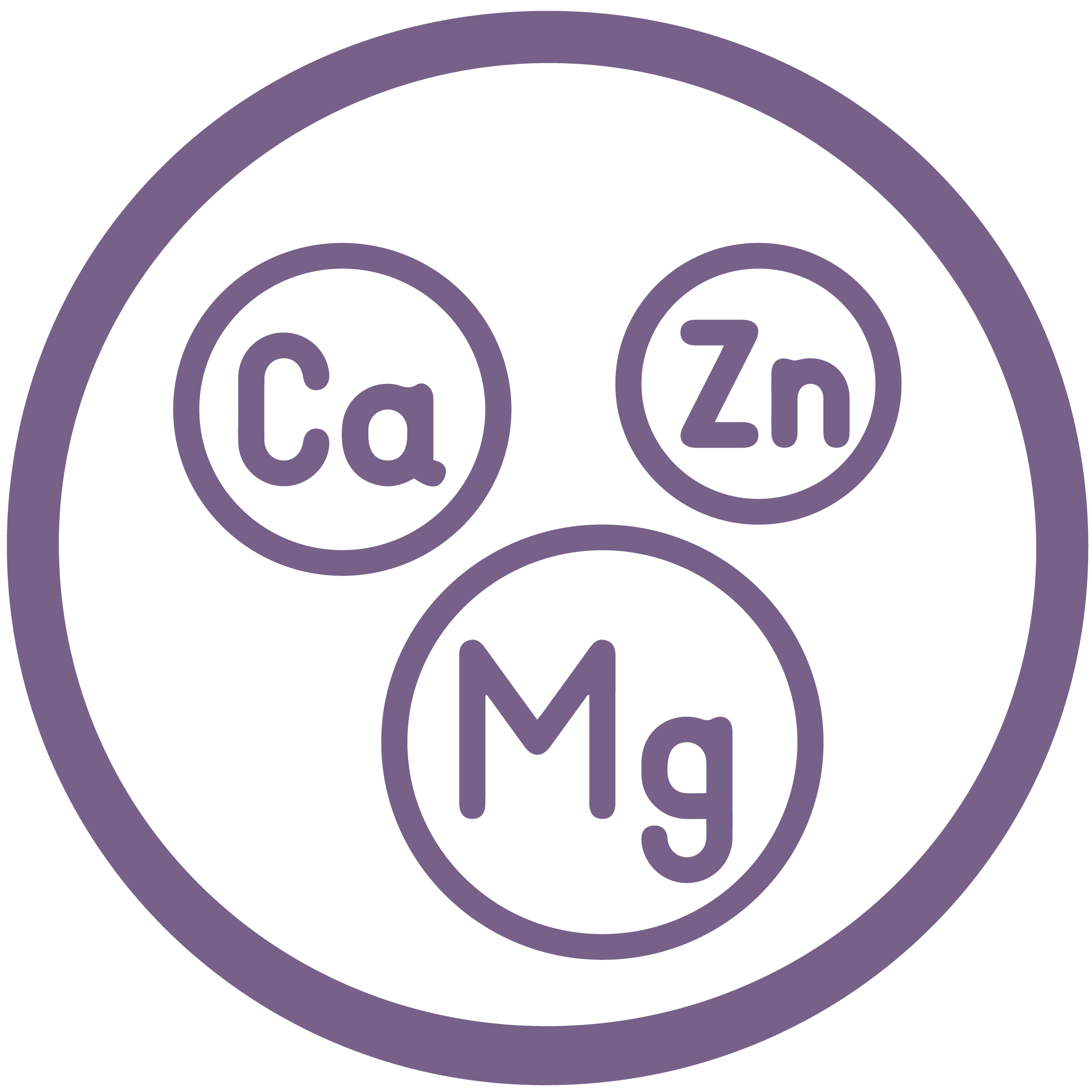 Ayuda a la absorción de nutrientes